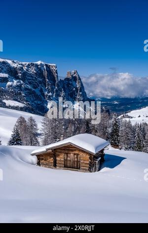 Campagna agricola collinare con pascoli innevati, alberi e capanna in legno all'Alpe di Siusi in inverno, cime del Monte Petz e dello Sciliar nel di Foto Stock