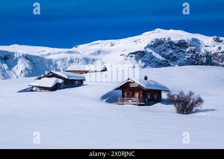 Campagna agricola collinare con pascoli innevati, cespugli e capanne in legno all'Alpe di Siusi in inverno, vetta della cima di Terrarossa in località distanc Foto Stock