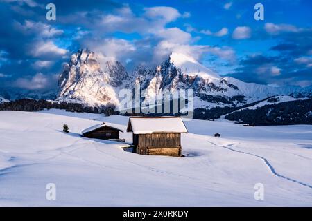 Campagna agricola collinare con pascoli innevati, alberi e capanne di legno all'Alpe di Siusi in inverno, le cime del Sassolungo e del Sasso piatto in Foto Stock