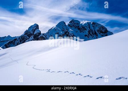 Pendii innevati del paesaggio alpino dolomitico attorno al passo del Giau con un sentiero per lepre in inverno, le cime innevate di Torre Dusso e il Monte Cernera Foto Stock