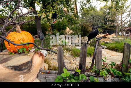 Beverly Hills, California, Stati Uniti. 13 aprile 2024. Costruita nel 1920 per i Willat Studios come set per film muti e trasferita a Beverly Hills nello stesso decennio, questa casa fiabesca in stile pan di zenzero su Walden Drive, a volte indicata come la "casa delle streghe", è ora un punto di riferimento protetto a Beverly Hills.(Credit Image: © Brian Cahn/ZUMA Press Wire) SOLO PER USO EDITORIALE! Non per USO commerciale! Foto Stock