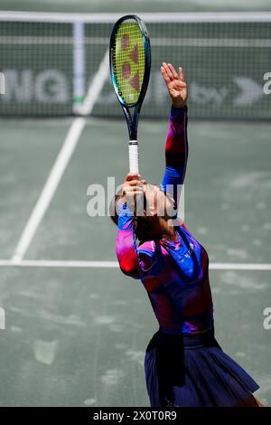 Amelia Island, Florida, Stati Uniti. 13 aprile 2024. Ana Bogdan della Romania batte in servizio contro l'Ucraina Elina Svitolina nella terza partita della qualificazione Billie Jean King Cup ad Amelia Island, Florida. Bogdan ha battuto in finale 6-4, 4-6, 6-3. L'Ucraina conduce la Romania 2 partite a 1 dopo questo risultato. (Credit Image: © Richard Dole/ZUMA Press Wire) SOLO PER USO EDITORIALE! Non per USO commerciale! Foto Stock