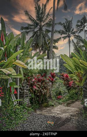 bali è un bel posto Foto Stock