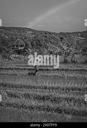 bali è un bel posto Foto Stock