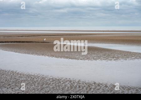 Cumber Sands in un giorno d'autunno, vista della spiaggia e del Canale della Manica, East Sussex, Inghilterra Foto Stock