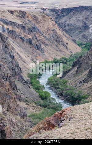 Kazakistan, Black Canyon, con il fiume Charyn, Kazakistan sud-orientale. Foto Stock