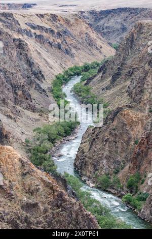 Kazakistan, Black Canyon, con il fiume Charyn, Kazakistan sud-orientale. Foto Stock