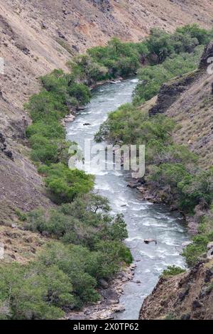 Kazakistan, Black Canyon, con il fiume Charyn, Kazakistan sud-orientale. Foto Stock