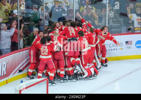 Minneapolis, Minnesota, Stati Uniti. 13 aprile 2024. Denver festeggia dopo la gara del campionato NCAA D1 Men's Frozen Four Hockey Championship del 2024 tra i Denver Pioneers e i Boston College Eagles all'Xcel Energy Center di St Paul, Minnesota il 13 aprile 2024. (Immagine di credito: © Steven Garcia/ZUMA Press Wire) SOLO PER USO EDITORIALE! Non per USO commerciale! Foto Stock