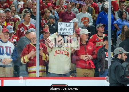 Minneapolis, Minnesota, Stati Uniti. 13 aprile 2024. I tifosi di Denver festeggiano dopo la gara del campionato NCAA D1 Men's Frozen Four Hockey Championship del 2024 tra i Denver Pioneers e i Boston College Eagles all'Xcel Energy Center di St Paul, Minnesota il 13 aprile 2024. (Immagine di credito: © Steven Garcia/ZUMA Press Wire) SOLO PER USO EDITORIALE! Non per USO commerciale! Foto Stock