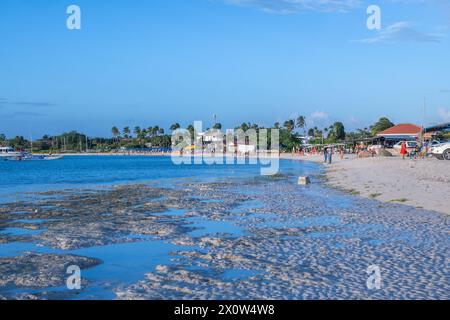 Nuotatore presso la spiaggia Surfside di Aruba in prima serata Foto Stock