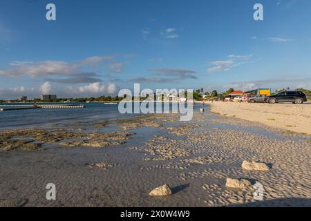 Nuotatore presso la spiaggia Surfside di Aruba in prima serata Foto Stock