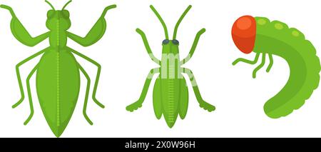 Vettoriale del set di raccolta di vari insetti Illustrazione Vettoriale