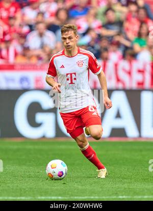 Joshua KIMMICH, FCB 6 nella partita FC BAYERN MUENCHEN - 1.FC Koeln 2-0 il 13 aprile 2024 a Monaco, Germania. Stagione 2023/2024, 1.Bundesliga, FCB, Monaco, giorno 29, 29.Spieltag Photographer: immagini ddp/STAR-images - LE NORMATIVE DFL VIETANO QUALSIASI USO DI FOTOGRAFIE come SEQUENZE DI IMMAGINI e/o QUASI-VIDEO - Foto Stock