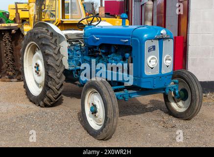 Fordson Super Major Tractor esposto all'asta di macchinari usati, Campsea Ashe, Suffolk, Inghilterra, Regno Unito Foto Stock