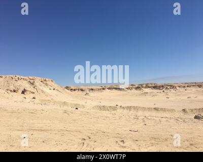 Nel deserto di Kuwait City, Kuwait Foto Stock