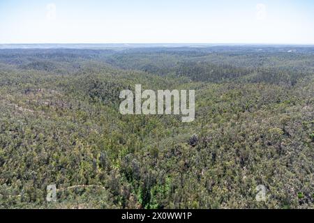 Vista aerea con droni della foresta di pini e sugheri nelle montagne di Huelva, Sierra de Aracena Foto Stock