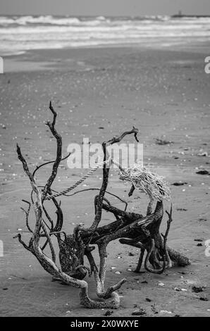 Spiaggia di Corbu in Romania, bianco e nero, bagnata su una spiaggia con corda intrecciata Foto Stock