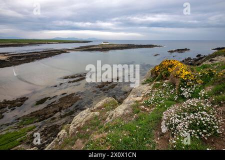 St Cwyfan's Church a Porth Cwyfan vicino Aberffraw, Anglesey, Galles del Nord. Foto Stock