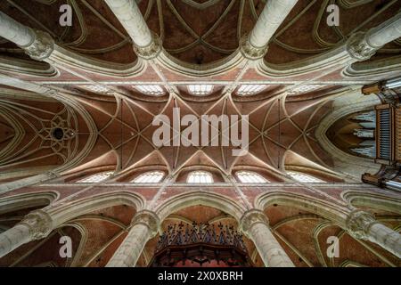Gent, Sint-Michielskerk, Sankt Michael, Blick ins Gewölbe des Langhauses Foto Stock