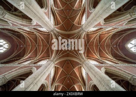 Gent, Sint-Michielskerk, Sankt Michael, Blick ins Gewölbe der Vierung Foto Stock