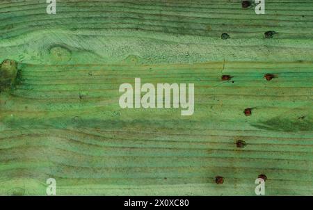 Tavole di legno verde grungy con trama ruvida, sfondo Foto Stock