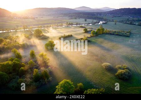 Spettacolare luce e nebbia mattutina su un bellissimo prato circondato da una lussureggiante foresta vicino al fiume Krka, Dolenjska, Novo mesto, Slovenia Foto Stock