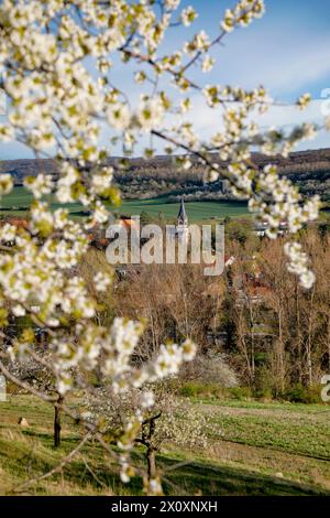 Wandern im Harz Blick von der Teufelsmauer auf die Lindenhofskirche in Neinstein Harz, fotografiert am 5. Aprile 2024. Neinstein Sachsen Anhalt Deutschland Teufelsmauer 001147 *** escursioni nei monti Harz Vista dal Teufelsmauer al Lindenhofskirche a Neinstein Harz , fotografato il 5 aprile 2024 Neinstein Sachsen Anhalt Germania Teufelsmauer 001147 Foto Stock