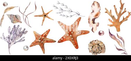 Impostare elementi marini. Conchiglie, alghe marine, stelle marine, coralli, Perle. colori vincolati. Illustrazione acquerello. Per tessuti, tessuti, abbigliamento da spiaggia, estate a. Foto Stock