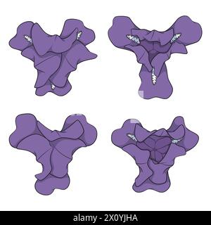 Set di illustrazioni a colori con fiori viola iris. Oggetti vettoriali isolati su sfondo bianco. Illustrazione Vettoriale