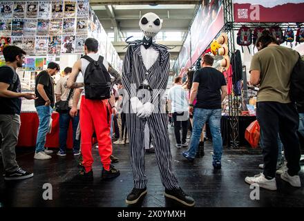 Italia Piemonte Torino Fiera Ligotto XXVIII edizione di Torino Comics - Cosplayers Credit: Reality Easy Star/Alamy Live News Foto Stock