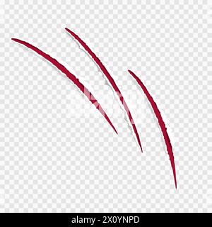 Cat graffia i rossi e strappa il bordo della carta isolato su sfondo trasparente realistico. Fori con superficie ruvida danneggiata. . Illustrazione vettoriale Illustrazione Vettoriale