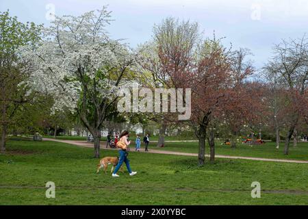 Spaziergänger an einem Frühlingstags auf dem Falkplatz nahe dem Berliner Mauerpark. / Camminate a Falkplatz vicino al Mauerpark di Berlino in un giorno di primavera. Frühling a Berlino *** escursioni a Falkplatz vicino al Mauerpark di Berlino in una giornata primaverile escursioni a Falkplatz vicino al Mauerpark di Berlino in una giornata primaverile Primavera a Berlino S-P202404011012.jpg Foto Stock