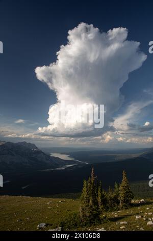 Le spettacolari nuvole di tempesta di cumulus si formano sul bordo orientale delle Montagne Rocciose dell'Alberta nel Jasper National Park. Foto Stock