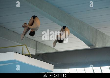 Torino, Italia, Italia. 14 aprile 2024. Italia, Torino 13/14 aprile 2024.piscina Monumentale Torino.UnipolSai Open Campionati Italiani Indoor Diving.il Conte Simone Pelligra Raffaele gareggia nella medaglia d'oro sincronizzata da 10 m con piattaforma subacquea maschile (Credit Image: © Tonello Abozzi/Pacific Press via ZUMA Press Wire) SOLO PER USO EDITORIALE! Non per USO commerciale! Foto Stock