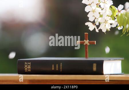 Santa Bibbia e croce di Gesù Cristo, fiori di ciliegio che soffiano nel vento primaverile e luce solare sullo sfondo verde della foresta Foto Stock