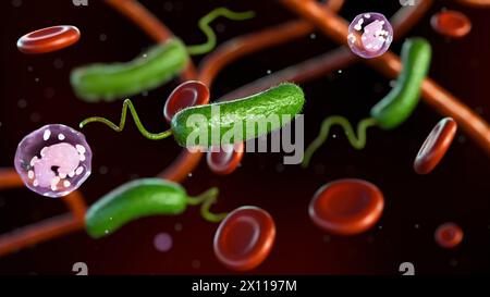 Rendering 3D del Vibrio vulnificus, dei globuli rossi e dei globuli bianchi Foto Stock