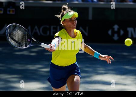 Amelia Island, Florida, Stati Uniti. 13 aprile 2024. Lesia Tsurenko dell'Ucraina colpisce in prima linea contro Jaqueline Cristian della Romania nella quarta partita della qualificazione Billie Jean King Cup ad Amelia Island, Florida. Cristian ha battuto in finale 2-6, 6-4, 6-4. Ucraina e Romania sono pareggiate con 2 partite ciascuna dopo questo risultato. (Credit Image: © Richard Dole/ZUMA Press Wire) SOLO PER USO EDITORIALE! Non per USO commerciale! Foto Stock