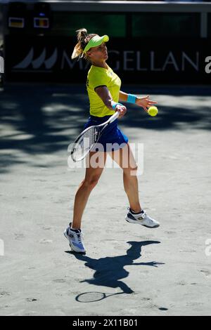 Amelia Island, Florida, Stati Uniti. 13 aprile 2024. Lesia Tsurenko dell'Ucraina colpisce in prima linea contro Jaqueline Cristian della Romania nella quarta partita della qualificazione Billie Jean King Cup ad Amelia Island, Florida. Cristian ha battuto in finale 2-6, 6-4, 6-4. Ucraina e Romania sono pareggiate con 2 partite ciascuna dopo questo risultato. (Credit Image: © Richard Dole/ZUMA Press Wire) SOLO PER USO EDITORIALE! Non per USO commerciale! Foto Stock