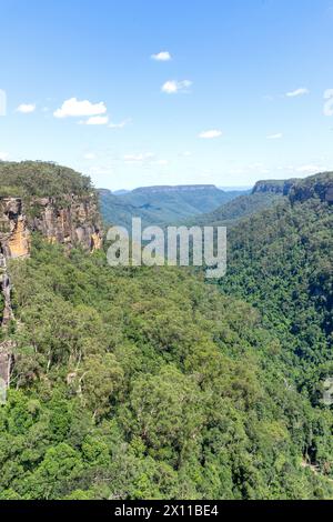 Twin Falls Lookout, Fitzroy Falls, Kangaroo Valley, New South Wales, Australia Foto Stock