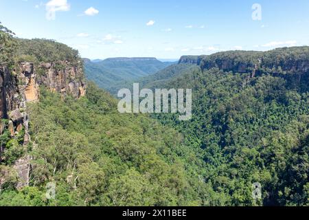 Twin Falls Lookout, Fitzroy Falls, Kangaroo Valley, New South Wales, Australia Foto Stock