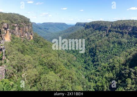 Twin Falls Lookout, Fitzroy Falls, Kangaroo Valley, New South Wales, Australia Foto Stock