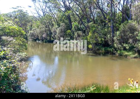 Kangaroo River presso Twin Falls Lookout, Fitzroy Falls, Kangaroo Valley, New South Wales, Australia Foto Stock