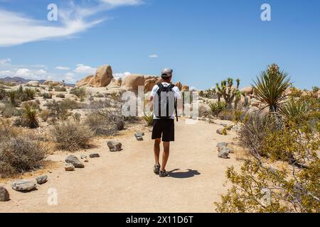 Uomo che fa trekking con lo zaino tra i massi e i joshua Trees sull'Arch Rock Trail nel Joshua Tree National Park, CALIFORNIA, USA Foto Stock