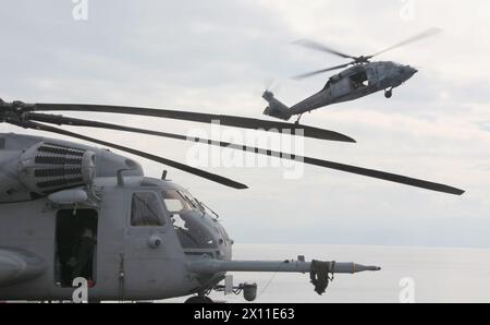 Haiti: Un MH-60S Night Hawk della Marina dell'Helicopter Sea Combat Squadron 22 vola per un atterraggio di fronte a un CH-53E Super Stallion del Marine Heavy Helicopter Squadron 461 (rinforzato) sulla USS Bataan per scortare la prima ondata di rifornimenti, vicino alla costa di Haiti, 19 gennaio 2010. Foto Stock