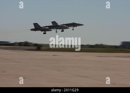 Un paio di F/A-18C "Hornet" lanciano dalla linea di volo della Marine Corps Air Station Miramar, 12 febbraio 2010, per unirsi ad una formazione di circa 190 aerei per partecipare alla "Parade of Flight" del Centennial of Naval Aviation. Foto Stock