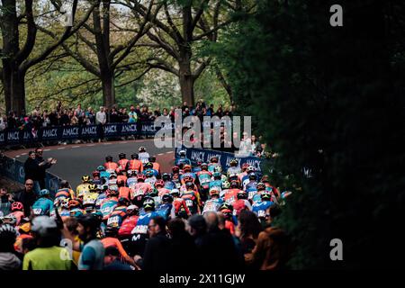 Valkenberg, Paesi Bassi. 14 aprile 2024. Foto di Zac Williams/SWpix.com - 14/04/2024 - Ciclismo - 2024 Amstel Gold Race - il peloton. Crediti: SWpix/Alamy Live News Foto Stock