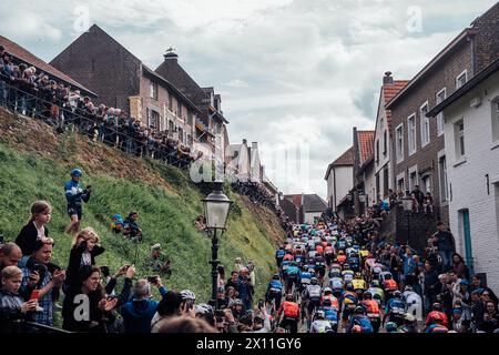 Valkenberg, Paesi Bassi. 14 aprile 2024. Foto di Zac Williams/SWpix.com - 14/04/2024 - Ciclismo - 2024 Amstel Gold Race - il peloton. Crediti: SWpix/Alamy Live News Foto Stock