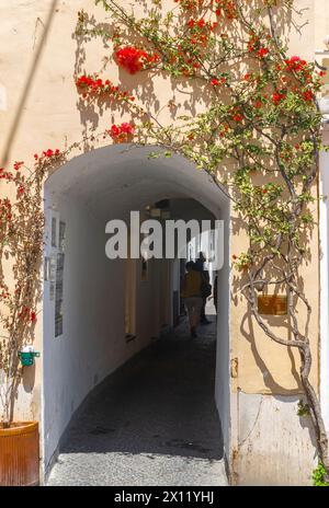 La meravigliosa isola di Capri, la Costiera amalfitana, la baia di napoli, l'italia Foto Stock