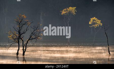 5 febbraio 2023: Vista del lago Tuyen Lam, città da Lat, Vietnam in autunno Foto Stock